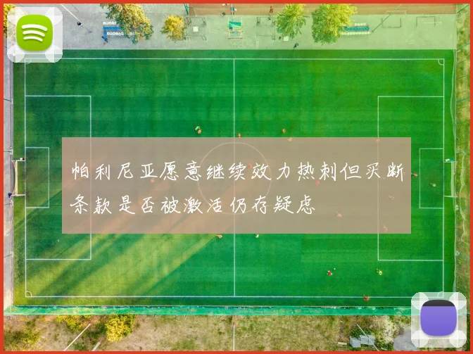 帕利尼亚愿意继续效力热刺但买断条款是否被激活仍存疑虑